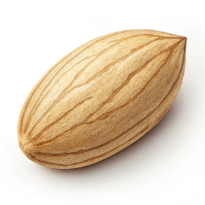 بادام